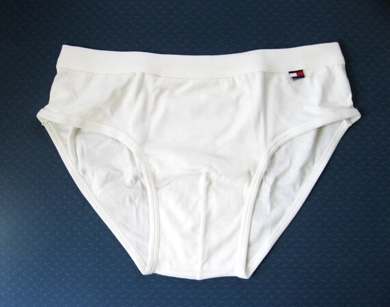 Tommy Hilfiger womens Underwear Basics Cotton Panties 6 Pack