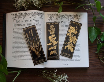 Herbiary Bookmarks - Lavender, Mugwort, & Rose
