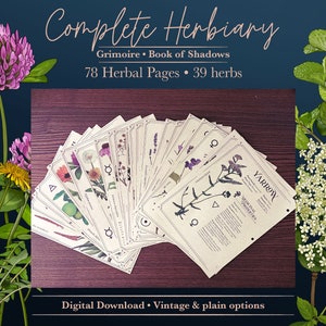 Herbiario completo para Grimorio / Libro de las Sombras - 78 páginas de hierbas, 39 hierbas y plantas Descarga digital - Tamaño carta