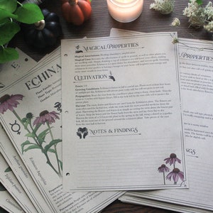Herbiario completo para Grimorio/Libro de las Sombras - 78 páginas de hierbas, 39 hierbas y plantas - Tamaño carta