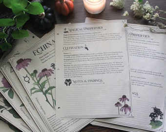 Complete Herbiary forGrimoire / Book of Shadows - 78 Herbal Pages, 39 Herbs & Plants - Letter Size