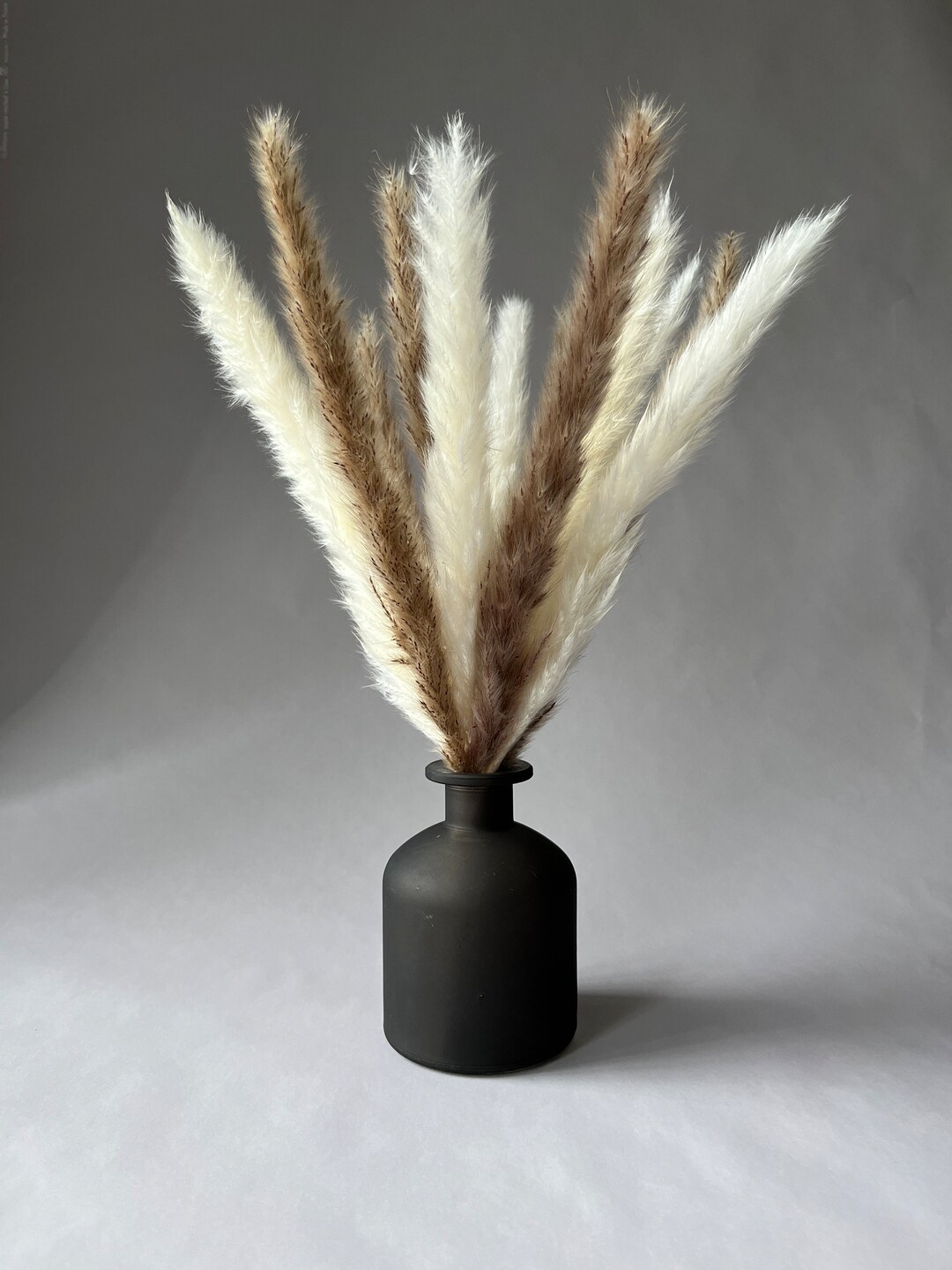 Mini Pampas Grass and Black Vase // Pampas and Vase White Etsy