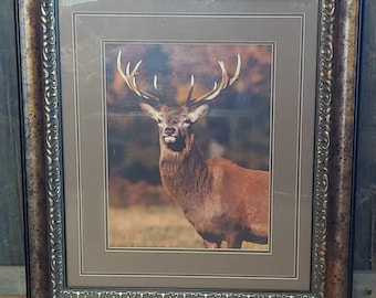 Antique Elk Stag Print, Ornate Frame Woodland, Wildlife Animal Print  Vintage Fireplace Mantle Decor, Rustic Home Cabin Lodge 454