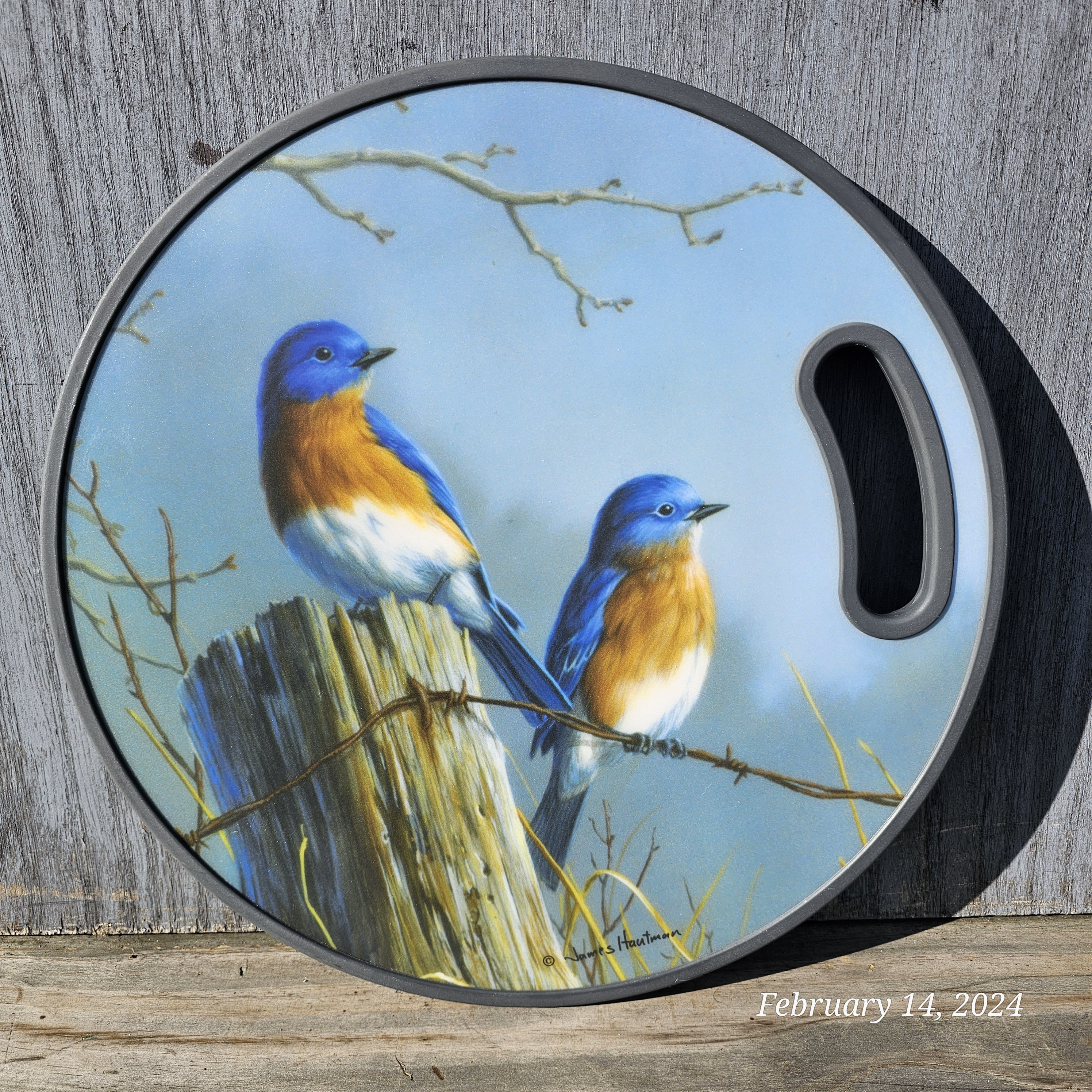 James Hautman Blue Birds Cutting Board: Vintage Kitchen