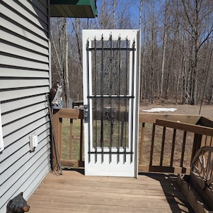 Vintage Decorative Iron Storm Door - 28x77 - Larson - Five Hinges 613