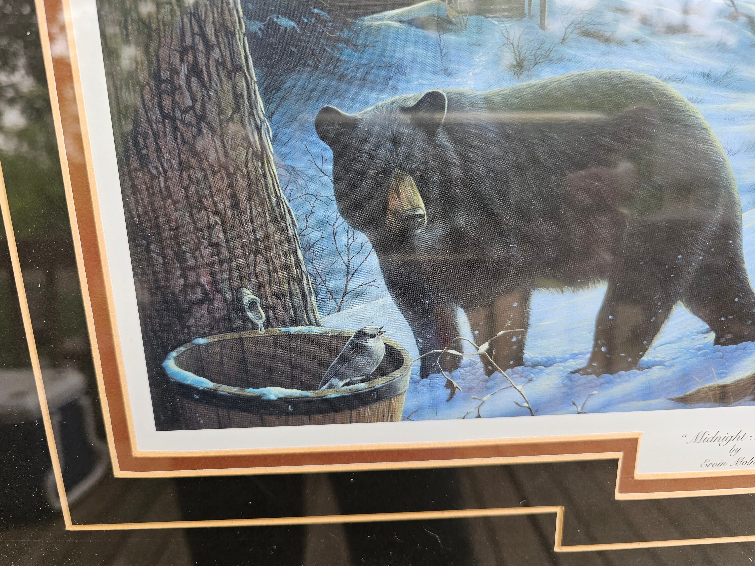 Vintage Framed Bear Print: Signed Ervin Molnar 