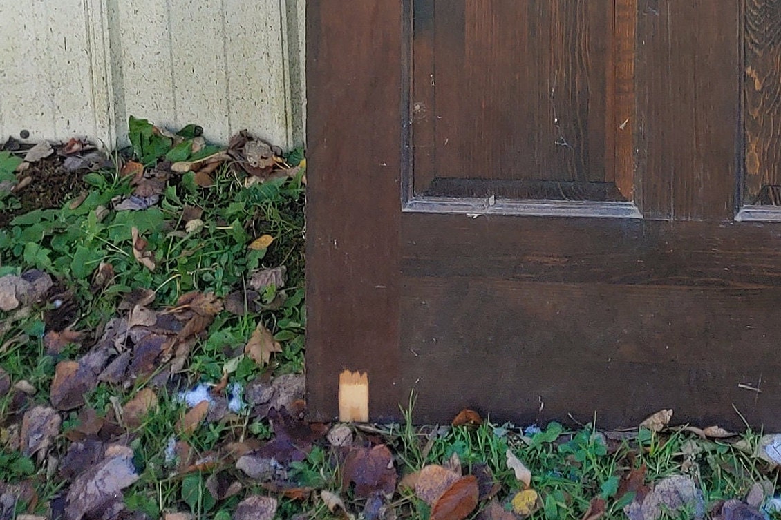 10+ 6 Panel Wood Doors