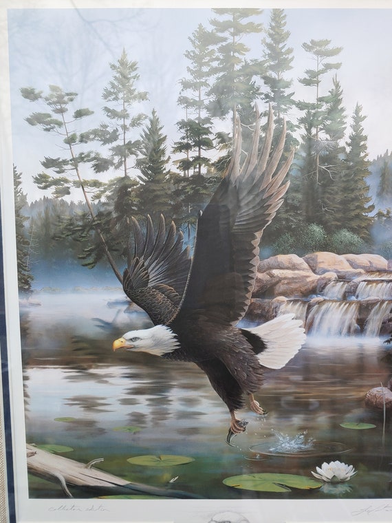レア PHOTOGRAPHIC PORTRAIT PRIZE 2004 Vintage Bald Eagle Print Framed Beautiful Bird Scene