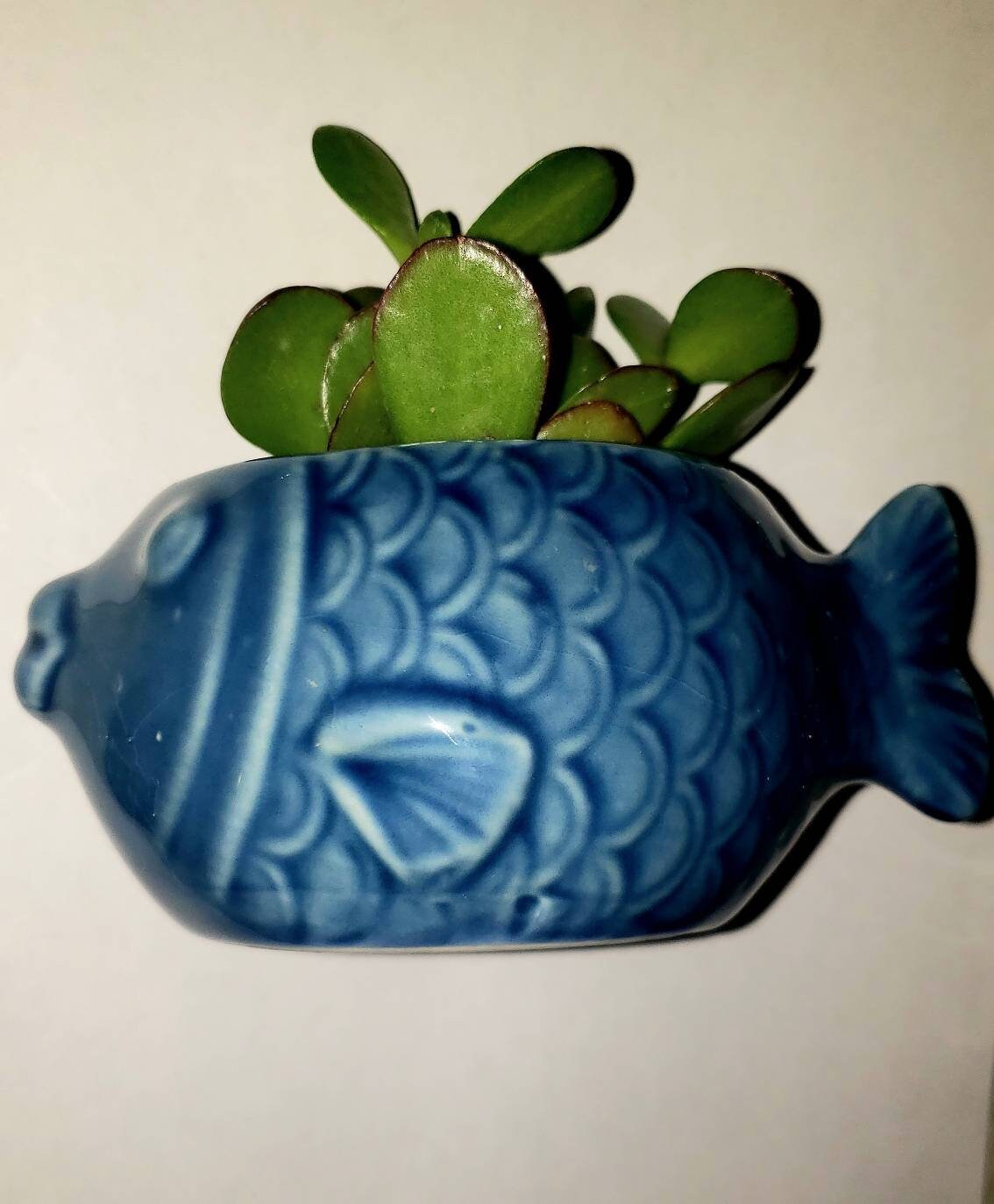 Ceramic Blue Fish Planter w/ Succulent Etsy