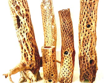 Madera Natural de Cactus Cholla / Acuario, Terrario y Reptiles, Decoración