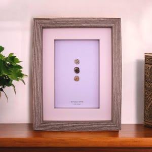 Mongolian Empire Framed Coin (1206-1368AD) - History Teacher Gift - Genuine Sultan History Coin Art Home Decor - Mongolian Empire History