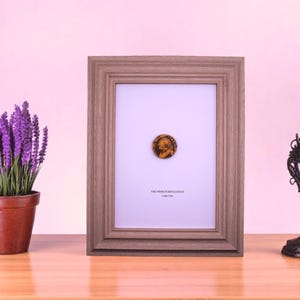 May include: A framed coin from the French Revolution, displayed on a wooden surface. The frame is a light brown color. A potted lavender plant and a decorative black lamp are on either side of the frame.