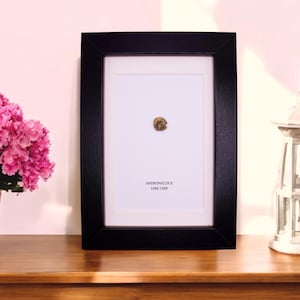 Byzantine Emperors Andronikos II or III Coin Framed 7x5 - Byzantine Empire History Teacher Gift - Genuine Constantinople Man Cave Gift