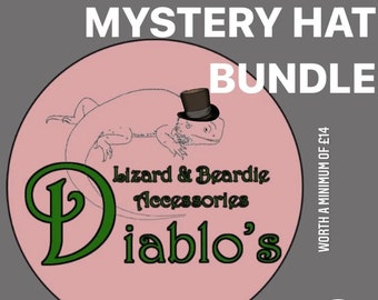 x3 MYSTERY HAT BUNDLE! Diablo's Reptile Accessories mystery hat bundle!!