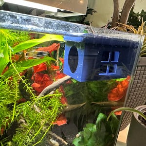 Suction cup / betta / house - perfect resting or hideaway for any fish, Siamese fighting betta