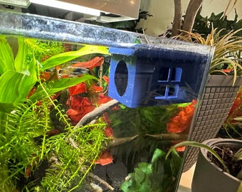 Suction cup / betta / house - perfect resting or hideaway for any fish, Siamese fighting betta