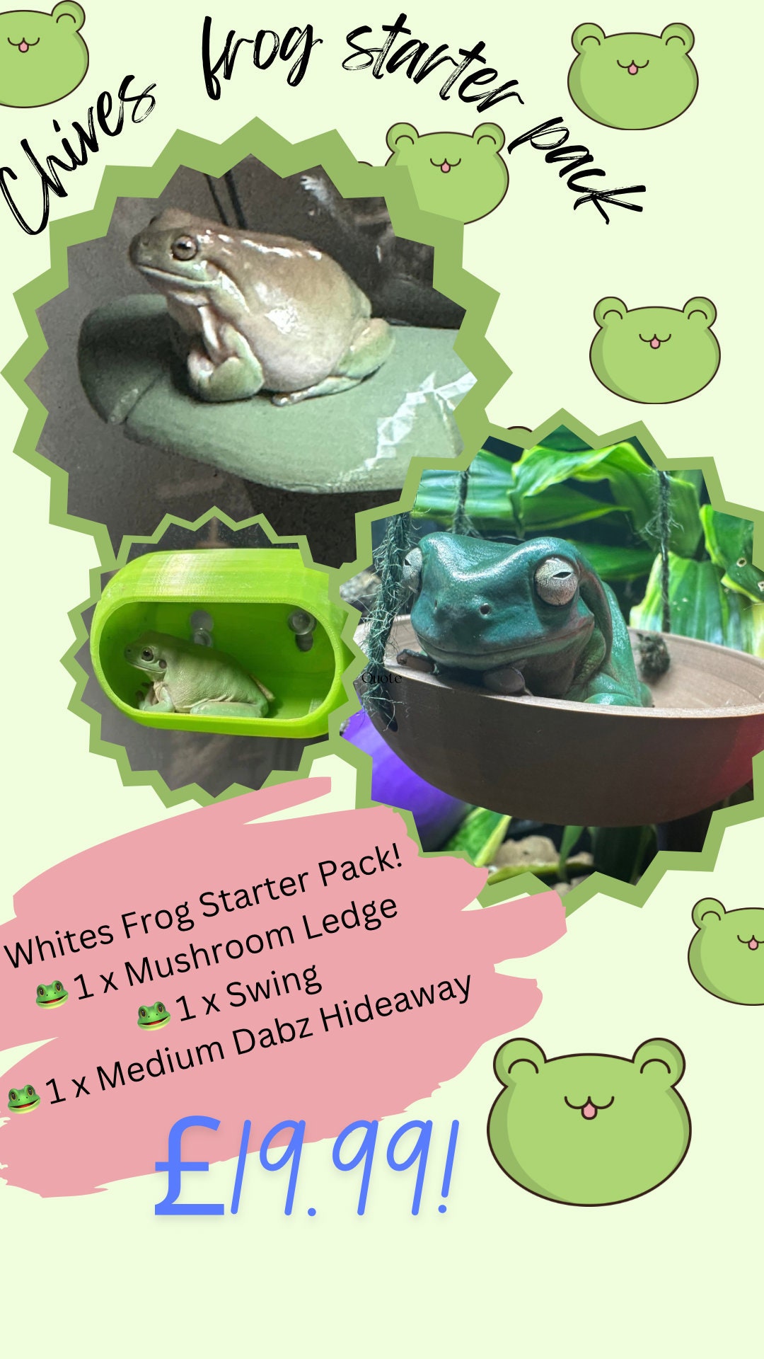 Toads hideaway sale