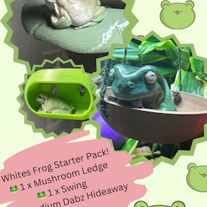 DABZ’ HIDEAWAY - gecko hide reptile/gecko/frog/ hide / ledge with strong suction cups. Available in 3 sizes!