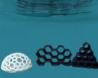 SHRIMP playground, aquatic shrimp, cherry shrimp, aquatic fish aquarium