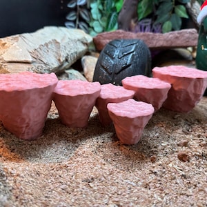 Reptile Enrichment Stepping Stones – Multi-Level Terrain Decor for ground dwelling snakes, lizards, frogs geckos, pacman frog, leopard gecko