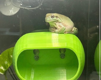 DABZ’ HIDEAWAY - gecko hide reptile/gecko/frog/ hide / ledge with strong suction cups. Available in 3 sizes!