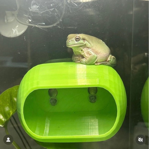 DABZ’ HIDEAWAY - gecko hide reptile/gecko/frog/ hide / ledge with strong suction cups. Available in 3 sizes!