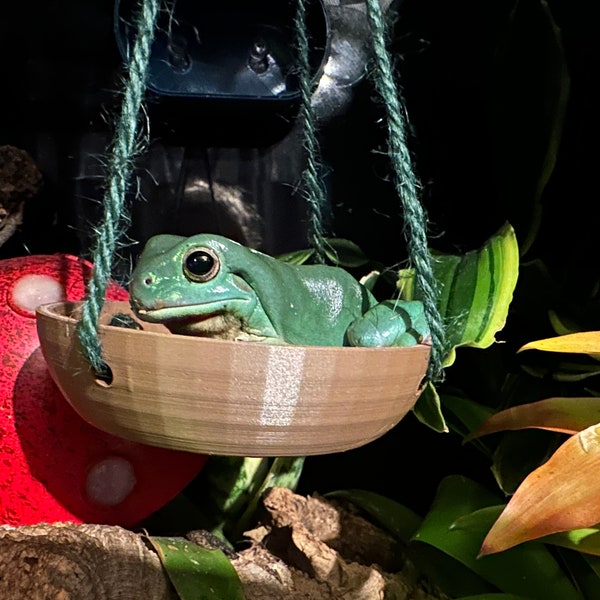 FROG SWING, GECKO swing, Chives ultimate , swing, ledge for amphibian, gecko enrichment