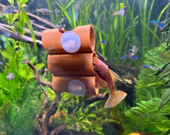 3D Printed Aquarium Hide | Suction Cup Triple Tube Design for Plecos, Corys, Shrimps & Betta Fish