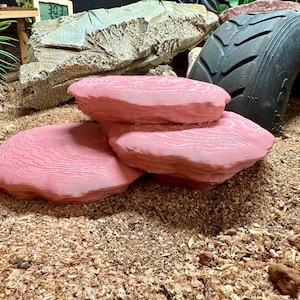 Reptile 3 tier rock stone ledge -  perfect for ground dwelling species, dart frogs, thumbnail frogs, viper geckos, sand geckos, dune geckos,