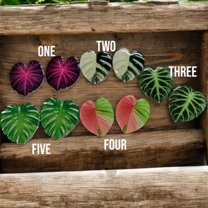 Vivarium handles - our all new pop out leaf handles for vivarium, terrariums, paladeriums