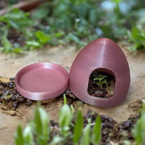 Dart Frog Breeding Pod - poison dart frog breeding pods, dart frog hides - available in lots of colours!