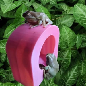 THE Jelly BEAN’ HIDEAWAY - gecko hide reptile/gecko/frog/ hide / ledge with strong suction cups. Frog hold