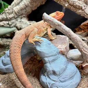 Reptile decoration arch hide- perfect for ground dwelling species, dart frogs, thumbnail frogs, viper geckos, sand geckos, dune geckos, cave