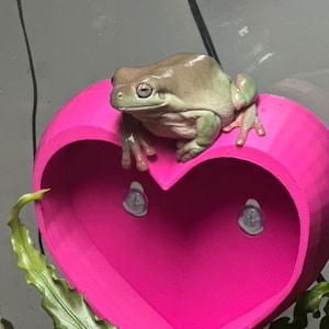 Herz Tier Reptil/Gecko/Frosch Fell - Tierheim Dekoration - perfektes Valentinstagsgeschenk für Ihren schuppigen Freund !!