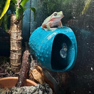 The Mourning Hideaway reptile hide. Baby Crested gecko hide, small frog hide, mourning gecko day gecko small gecko. Gecko hide, STRONG