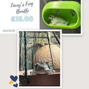 Larry’s Frog Bundle  - frog hide reptile/frog/ hide / ledge with strong suction cups. Available in 3 sizes!