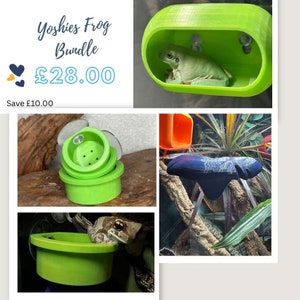 The Yoshie Bundle - tree frog hide reptile/whites /frog/ hide / ledge with strong suction cups.