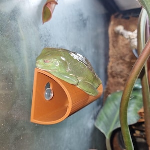 Side Hide - crestie frog gecko side hide, doubles up perfectly as a reptile ledge!