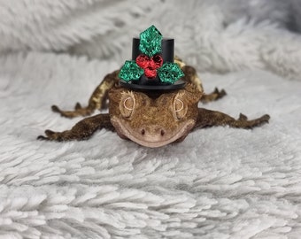 OH HOLLY - CHRISTMAS reptile, hamster, snake, rabbit, rat , lizard hat, gecko hat, frog hat, reptile hat, crested gecko, bearded dragon