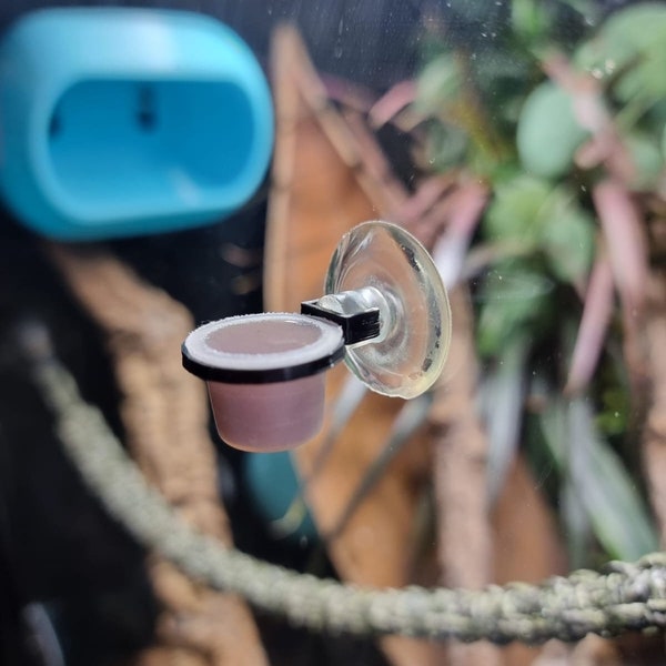 Dinky Gecko feeding dish, suction cup, perfect for the smaller geckos - tiny nano feeding cup! Designed for all geckos!