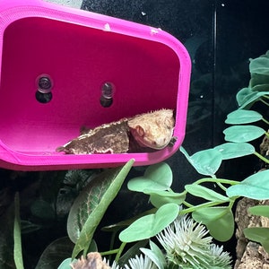 BAMBAM’s hideaway! NEW square reptile hide. Crested gecko hide, frog hide, leopard gecko, large, medium and small hide. Gecko hide, STRONG