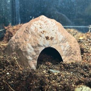 Boulder Hide reptile hide- perfect for ground dwelling species, dart frogs, thumbnail frogs, viper geckos, sand geckos, dune geckos, cave