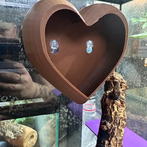 Herz Tier Reptil/Gecko/Frosch Fell - Tierheim Dekoration - perfektes Valentinstagsgeschenk für Ihren schuppigen Freund !!