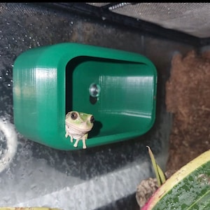 BAMBAM´s Versteck! NEUE quadratische Reptilienhaut. Haubengecko verstecken, Frosch verstecken, Leopardgecko, großes, mittleres und kleines verstecken. Geckohaut, STARK