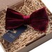 claret bow tie