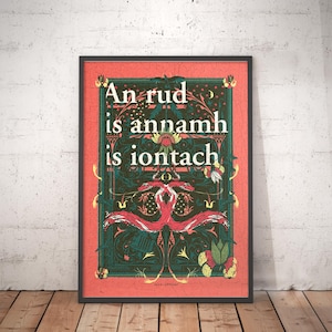 Pode incluir: Impressão artística emoldurada com o texto "An rud is annamh is iontach". A obra de arte apresenta um design vermelho e verde com motivos florais e de pássaros. A impressão emoldurada em preto é exibida contra uma parede branca e um chão de madeira.