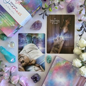 May include: Two oracle cards with colorful backgrounds and images. The first card shows a dog lying on a bed with the text "Prioritize yourself with much-deserved self-care". The second card shows a cat paw reaching out to a mouse with the text "Feeling powerless can spark a desire for change".