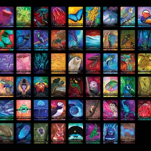 Peut inclure: Un jeu de 48 cartes color&eacute;es repr&eacute;sentant divers animaux et insectes. Chaque carte a une bordure noire et un fond blanc avec une illustration color&eacute;e d'un animal ou d'un insecte. Les cartes sont dispos&eacute;es en grille de 8 rang&eacute;es et 6 colonnes.