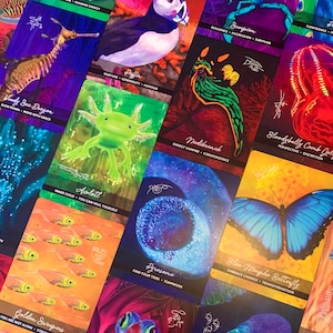 Peut inclure: Un jeu de cartes d'oracle color&eacute;es repr&eacute;sentant divers animaux et des images inspir&eacute;es de la nature. Chaque carte porte un nom et une courte description, comme "Dragon de mer en bois" et "Ralentissez, bougez avec gr&acirc;ce".