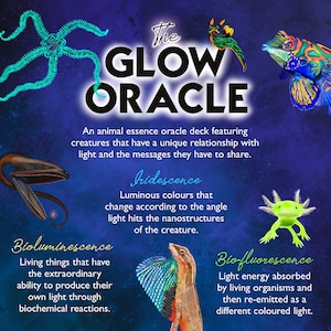 Peut inclure: Le jeu d'oracle Glow Oracle pr&eacute;sente une vari&eacute;t&eacute; de cr&eacute;atures qui brillent dans le noir. Le jeu comprend une &eacute;toile de mer, un poisson, un l&eacute;zard, un axolotl et un hippocampe. Les cartes sont illustr&eacute;es avec des couleurs vives et pr&eacute;sentent le texte "The Glow Oracle" et "Un jeu d'oracle d'essence animale mettant en sc&egrave;ne des cr&eacute;atures qui ont une relation unique avec la lumi&egrave;re et les messages qu'elles ont &agrave; partager."